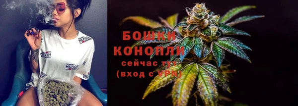 ECSTASY Лагань