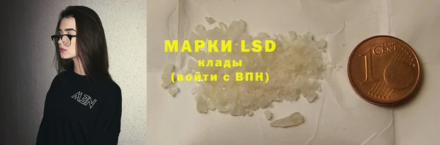 ECSTASY Лагань