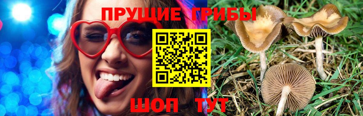 Галлюциногенные грибы Psilocybe  Вход с VPN  Заринск  Галлюциногенные грибы MAGIC MUSHROOMS 