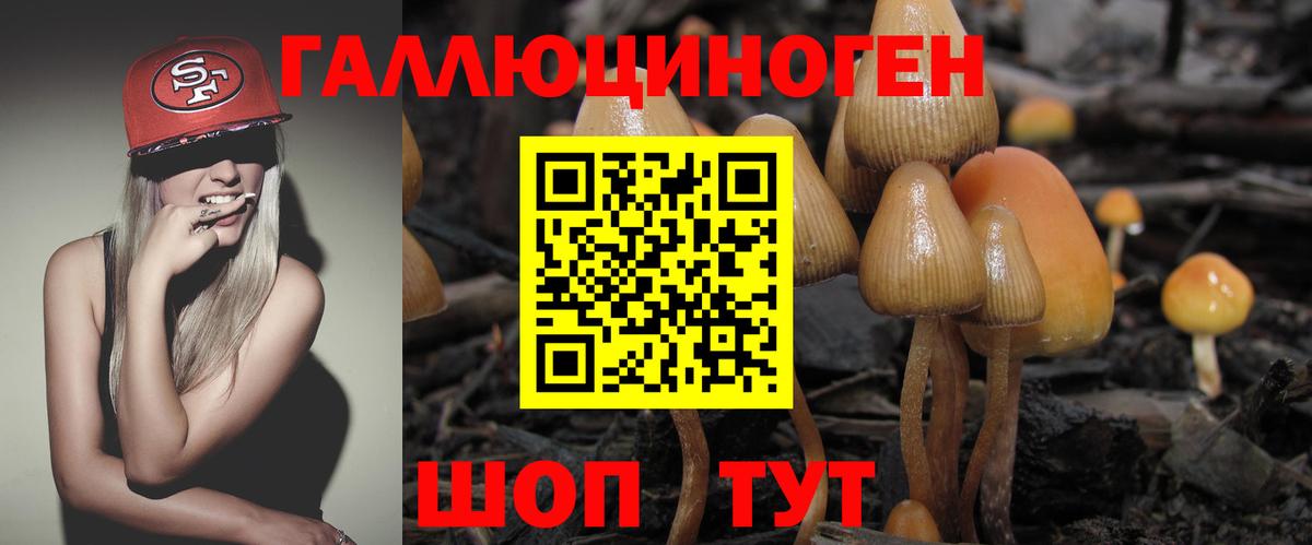 Галлюциногенные грибы MAGIC MUSHROOMS  Заринск 